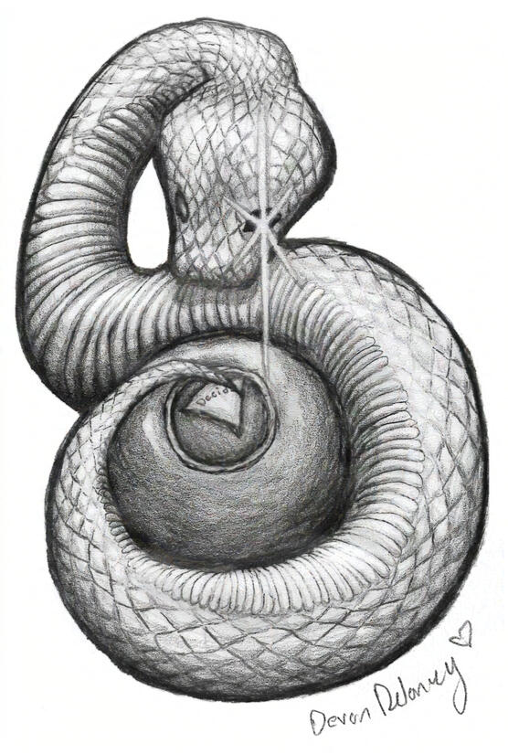 Slither | inspired by Djo's song "Slither" from the album "Decide" (Music) | pencil on paper
