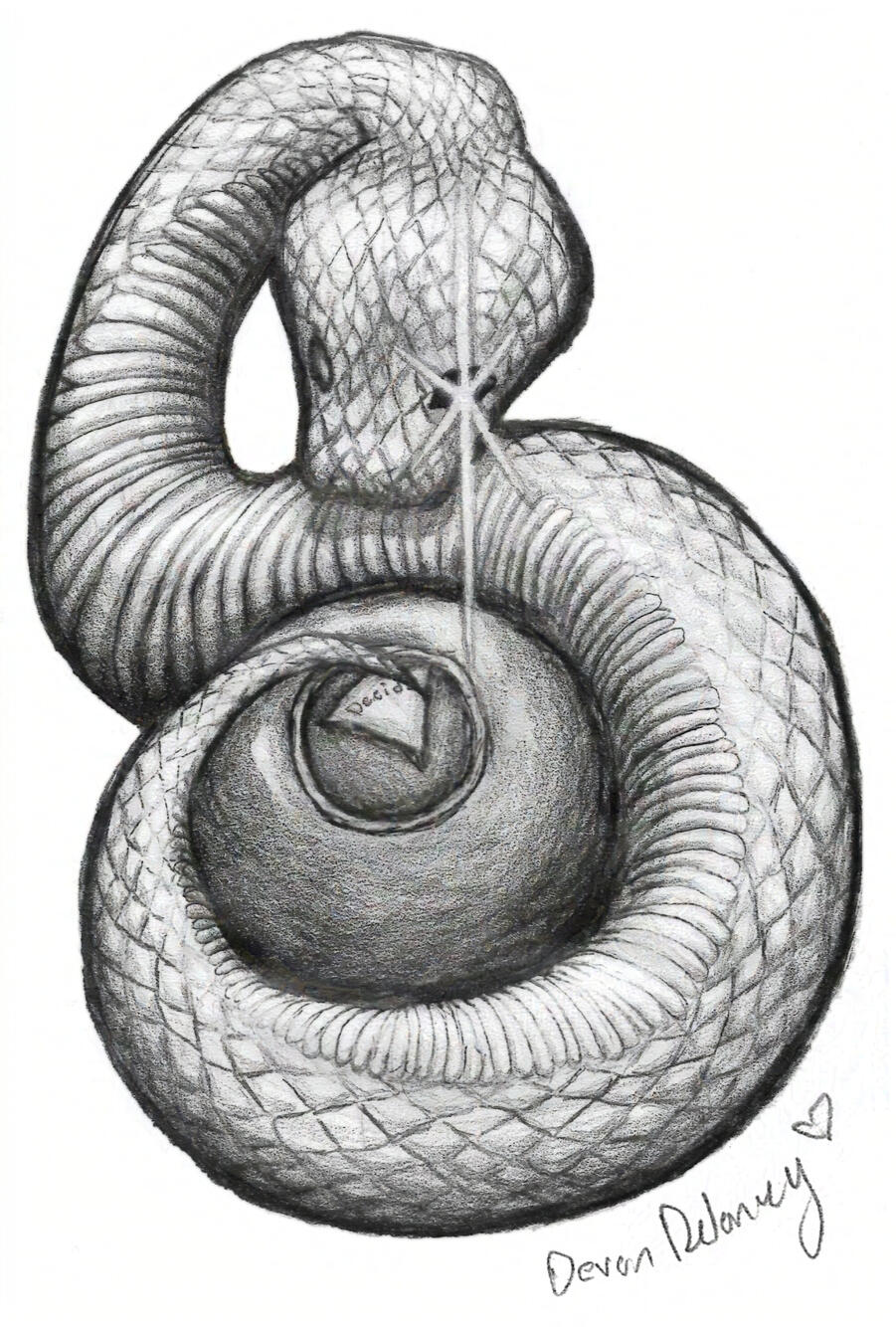 Slither | Mechanical Pencil
